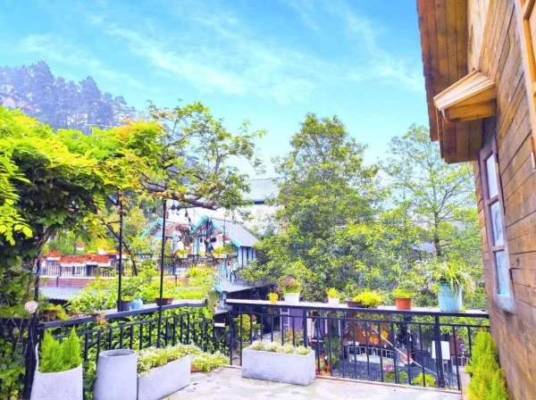 Ảnh Viva Homestay T5 - 20