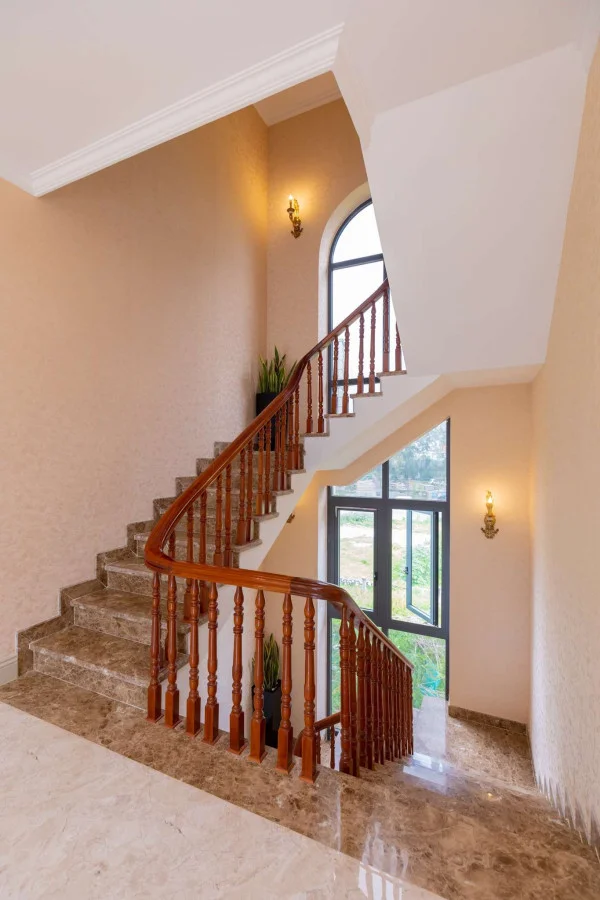 Ảnh Viva VT69 - 15