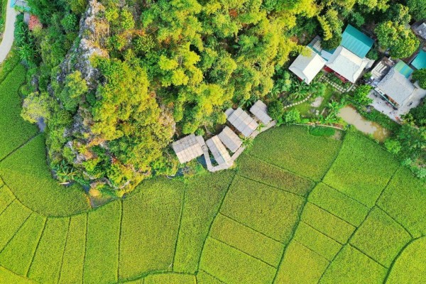 Ảnh Viva Mai Châu B1