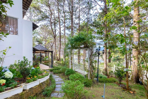 Ảnh Viva ĐL44 - 46