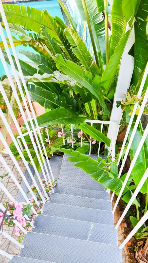 Ảnh Viva Homestay PT 01 - 15