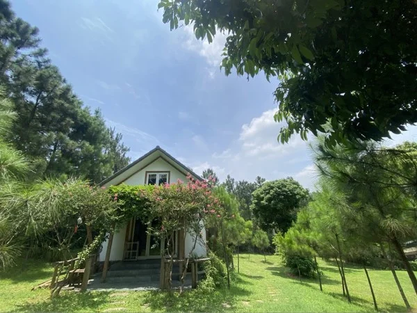 Ảnh Viva Homestay H6 - 17