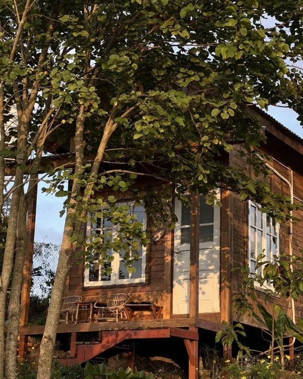 Ảnh Viva Homestay MC 13 - 11