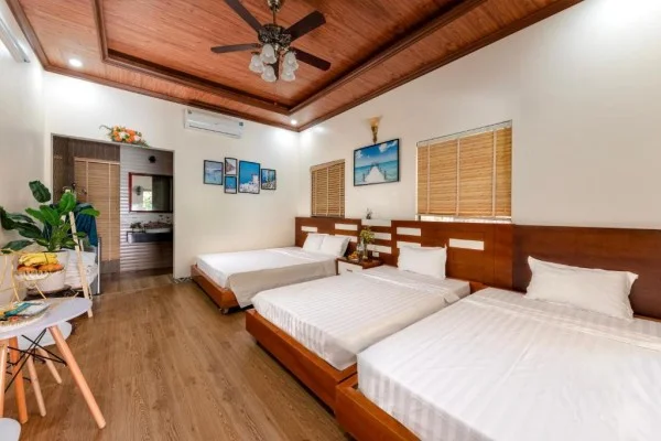 Ảnh Viva Homestay N09 - 11