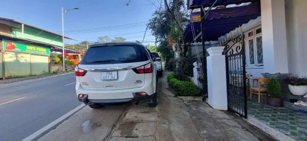 Ảnh Cẩm Tú Cầu 2 - 17