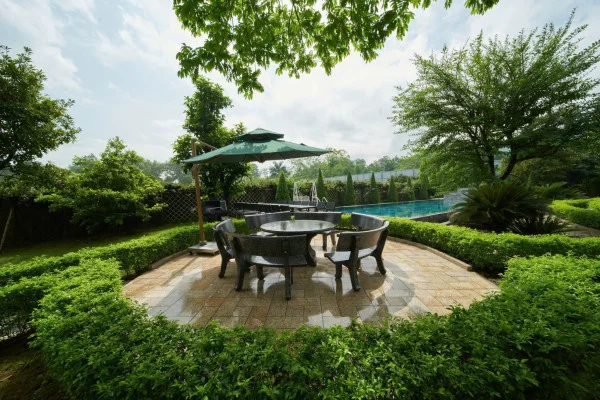 Ảnh Viva HB12 - 12