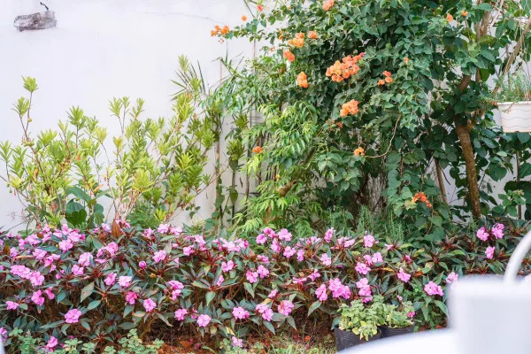 Ảnh Viva ĐL29 - 34