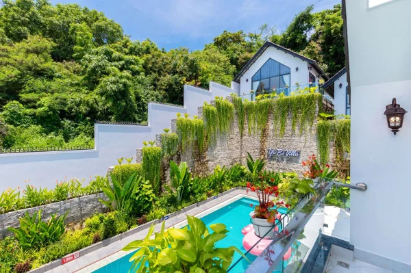 Ảnh Viva VT64 - 39