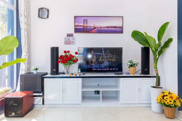 Ảnh Viva VT08 - 25