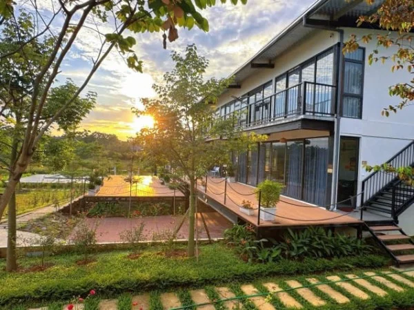 Ảnh Viva BVMT - Sân Pickleball