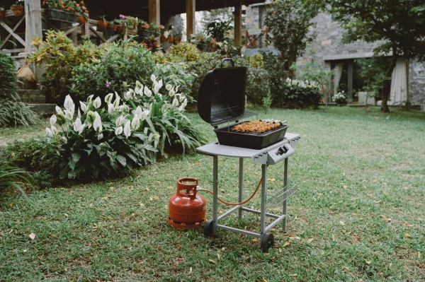 Ảnh Viva TĐ15 - 14