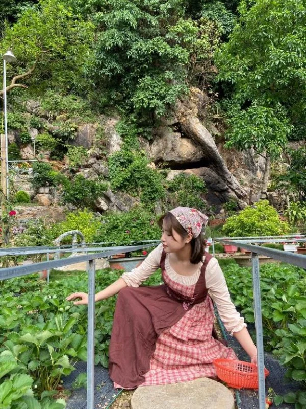 Ảnh Viva Homestay MC 05 - 14