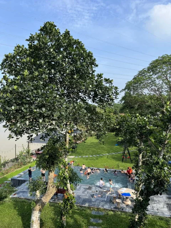 Ảnh Viva HB21 - 16