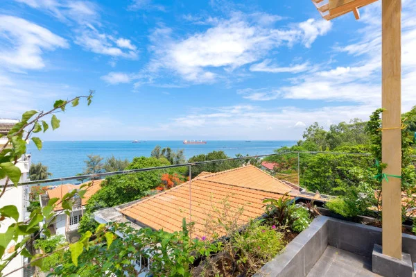 Ảnh Viva VT39 - 23