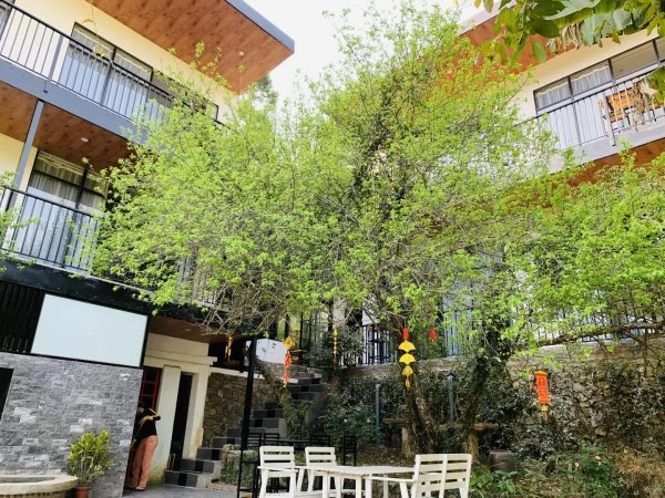 Ảnh Viva Homestay H4