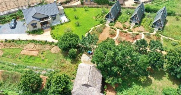 Ảnh Viva Homestay MC 11