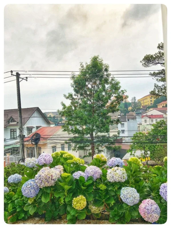 Ảnh Biệt Thự Trắng - 22