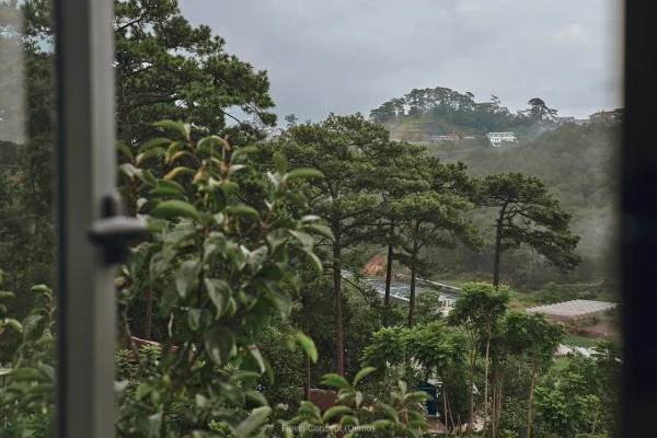 Ảnh Viva Homestay ĐL 05