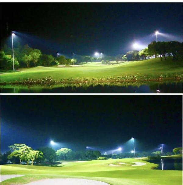 Ảnh Viva TĐ33 - 17