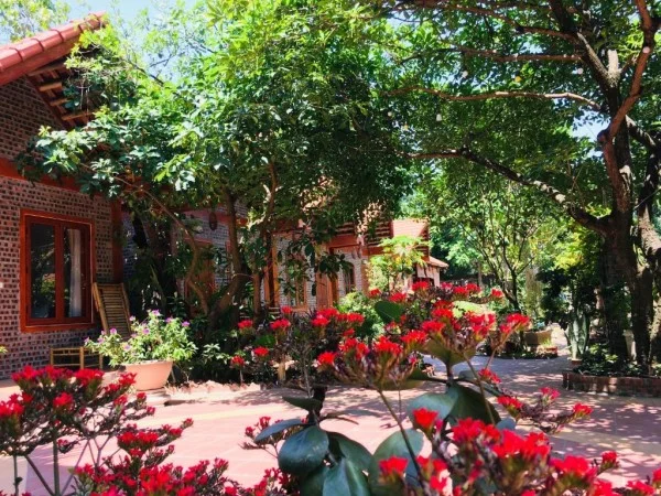 Ảnh Viva Homestay N13 - 8