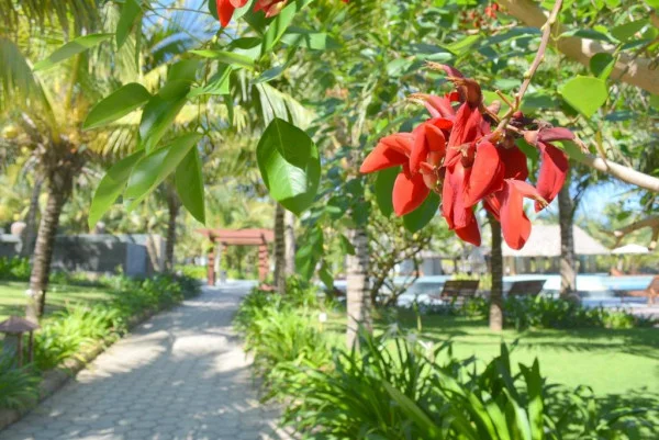 Ảnh Sonata Resort and Spa - 13