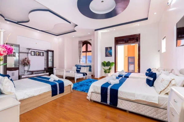 Ảnh Viva VT12 - 39