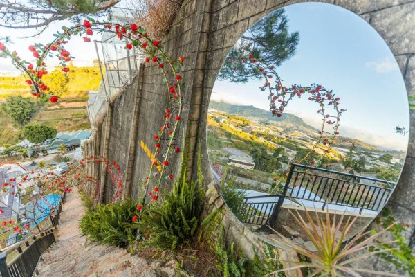 Ảnh Viva ĐL28 - 23