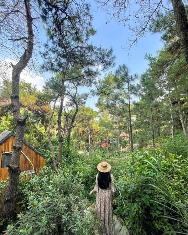 Ảnh Viva Homestay H2 - 7