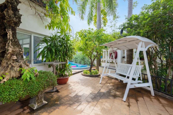 Ảnh Viva VT49 - 31