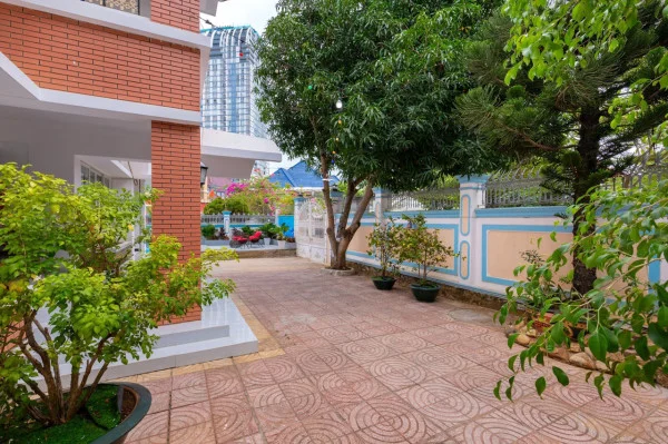 Ảnh Viva VT29 - 16