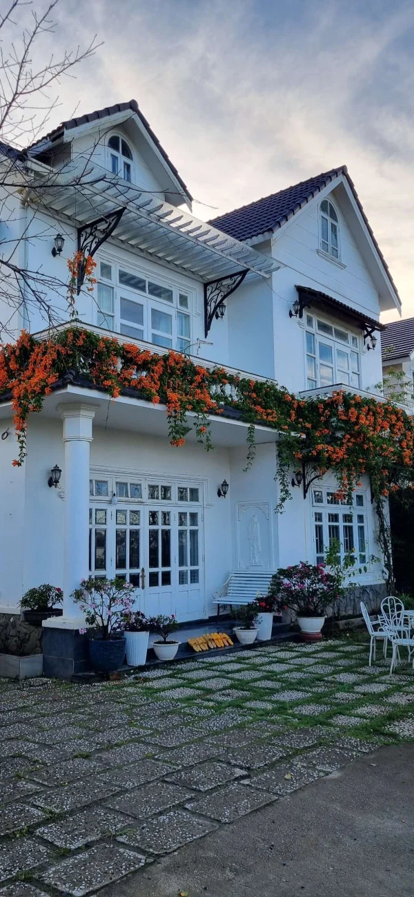 Ảnh Cẩm Tú Cầu 2 - 47