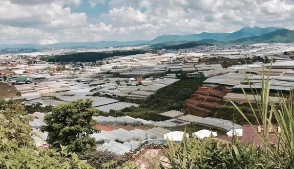 Ảnh Viva ĐL47 - 15