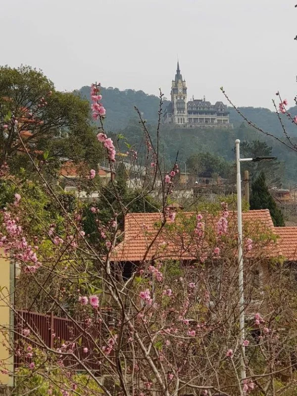 Ảnh Viva Homestay T4