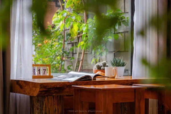 Ảnh Viva Homestay ĐL 08