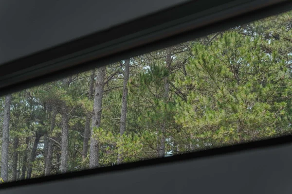 Ảnh Viva ĐL25 - 29