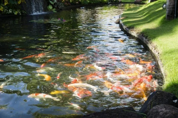 Ảnh Terracotta Resort - 35