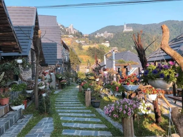 Ảnh Viva Homestay T1