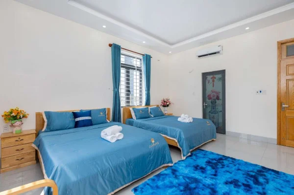 Ảnh Viva VT06 - 37