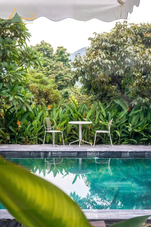 Ảnh Viva HB17 - 16