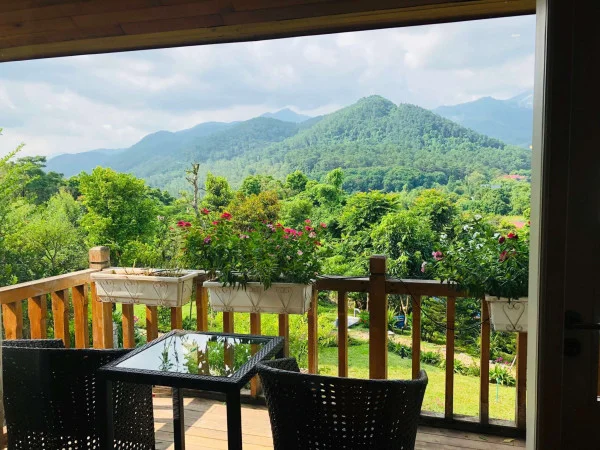 Ảnh Viva TĐ17 - 12