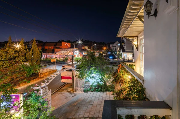 Ảnh Cẩm Tú Cầu 2 - 39