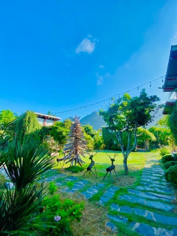 Ảnh -9