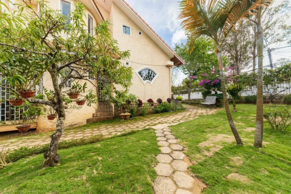 Ảnh Viva ĐL12 - 14