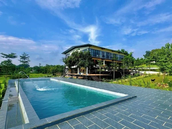 Ảnh Viva BVMT - Sân Pickleball