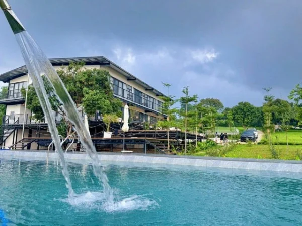 Ảnh Viva BVMT - Sân Pickleball - 12