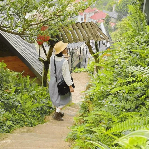 Ảnh Viva Homestay T9 - 13