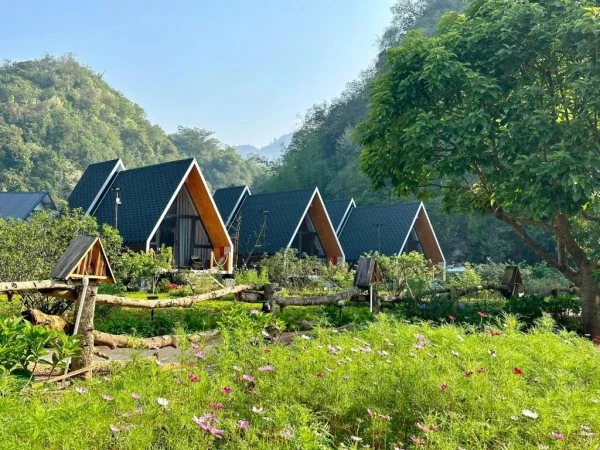 Ảnh Viva Homestay MC 11