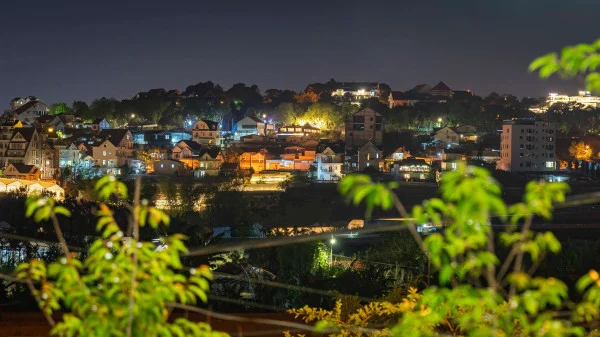 Ảnh Cẩm Tú Cầu 2 - 41