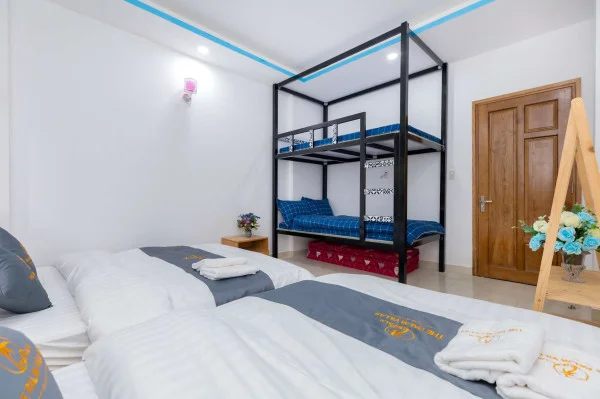 Ảnh Viva ĐL42 - 28