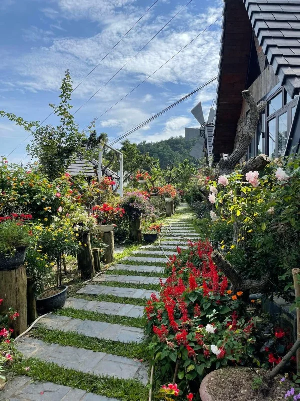 Ảnh Viva Homestay T1 - 9